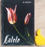 Lalele M. Preda