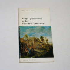 Viata pasionata a lui Adriaen Brouwer - Felix Timmermans