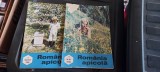 APICULTURA IN ROMANIA ANUL 1990 , LOT 2 REVISTE