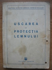 PANA / DUMITRESCU / SUCIU - USCAREA SI PROTECTIA LEMNULUI - 1951