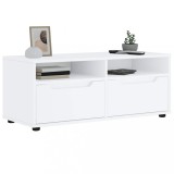 vidaXL Dulap TV &quot;VISNES&quot; alb 100x40x38 cm lemn de prelucrare