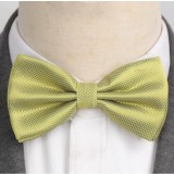 Papion pentru barbati, PP056, Olive