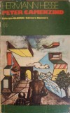 PETER CAMENZIND-HERMANN HESSE-345767