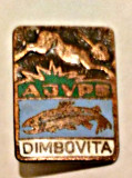 INSIGNA AJVPS DAMBOVITA VANATOARE PESCUIT AGVPS GVPS, Romania de la 1950