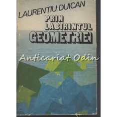 Prin Labirintul Geometriei - Laurentiu Duican
