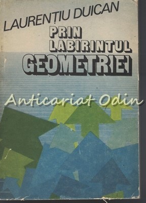Prin Labirintul Geometriei - Laurentiu Duican