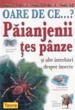 Amanda O'Neill - Oare de ce...? Paianjenii tes panze si alte intrebari