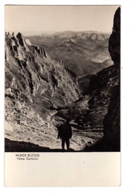 MUNTI BUCEGI VALEA CERBULUI RPR foto