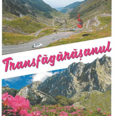 Transfagarasanul Reiseführer / Ghid turistic