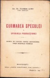 C1381 Curmarea speculei și sporirea producțiunei, drumul de parcurs pentru restabilirea vieței naționale normale de Florea Lupu, 1921