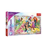Puzzle 300 piese, Printese din Desene, pentru copii, ATU-085882, Oem