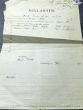 ACTE (3) - Bucovina - Declaratie