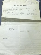 ACTE (3) - Bucovina - Declaratie