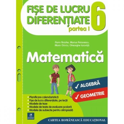 Matematica Fise de lucru diferentiate cls a VI-a partea I, Florin Antohe, Marius Antonescu, Marin Chirciu, Gheorghe Iacovita foto