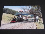 Locomotiva &bdquo;LINDA&quot; pe Calea Ferată Beer Heights, Pecorama Devon, Trenuleț Miniatură cu Pasageri . Ilustrată Temă Feroviară