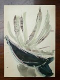 39. Planta, acuarela veche, pictura