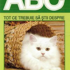 ABC Tot ce trebuie sa stii despre pisica