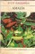 Foto  - 1