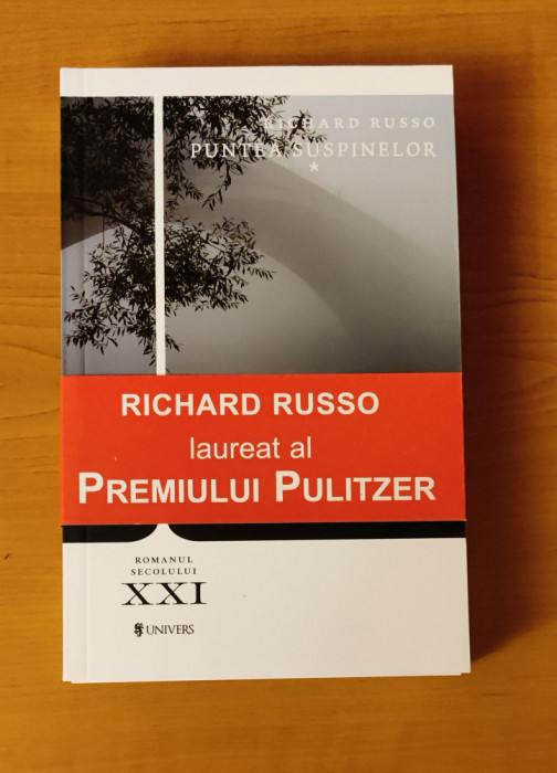Richard Russo - Puntea suspinelor (2 volume)