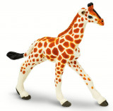 Figurina - Baby Giraffe | Safari