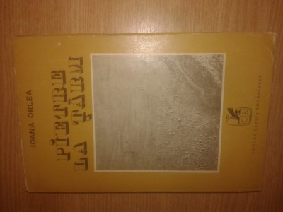 Ioana Orlea - Pietre la tarm (Editura Cartea Romaneasca, 1972) foto