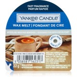 Yankee Candle Woodland Weekend Memories ceară pentru aromatizator 22 g
