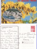 Ilustrata Franta - La Grande Motte Herault