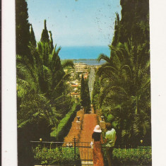 SI1 - Carte Postala -ISRAEL-  Haifa, Persian Garden, Circulata