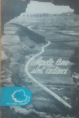 APELE LINE SANT ADANCI - GHEORGHE STEFAN, 1957 foto