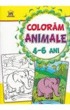 Coloram animalele 4-6 ani