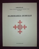 SHENOUDA III - ELIBERAREA DUHULUI, Bizantina 2005, Carte Crestinism, Carti Religioase, Brosata, Stare Buna