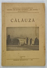 MUZEUL DE ISTORIE NATURALA &amp;#039;&amp;#039; GRIGORE ANTIPA &amp;#039;&amp;#039; BUCURESTI - CALAUZA , 1956 foto