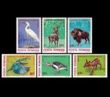 1980 - Anul European al Ocrotirii Naturii, fauna, serie neuzata