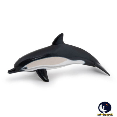 Papo-Delfin comun cu cioc scurt foto