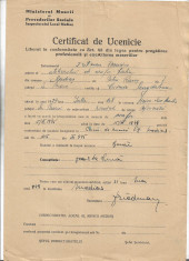 A1285 Certificat ucenic coafor 1949 Medias proprietar evreu Friedmann Francisc foto