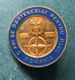 Insigna NATO 5 ani parteneriat pentru pace Romania 1999