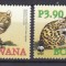 DB1 Fauna Botswana Pisica cu Picioare Negre 4v MNH
