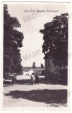 3413 - MANGALIA, Dobrogea, Romania - old postcard, real Photo - used - 1938, Circulata, Fotografie