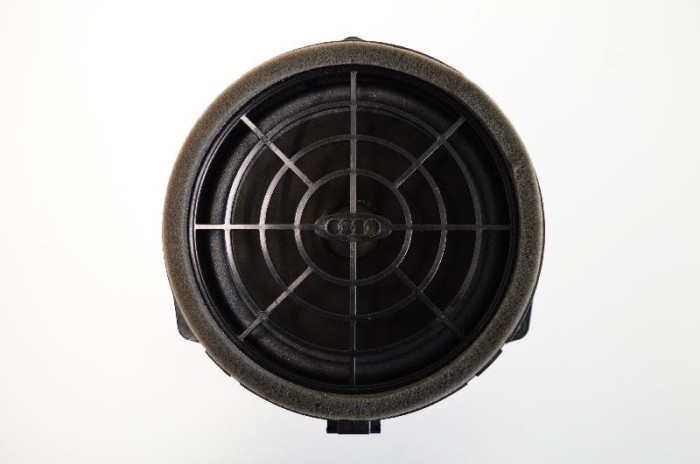 Difuzor ușă dreapta spate AUDI Q3 8U 2013 OEM: 8R0035411 1705336