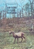 Din fauna si flora Romaniei - 1981 - Ion Simionescu (XE134), Ion Creanga