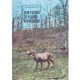 Din fauna si flora Romaniei - 1981 - Ion Simionescu (XE134)