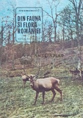 Din fauna si flora Romaniei - 1981 - Ion Simionescu (XE134)