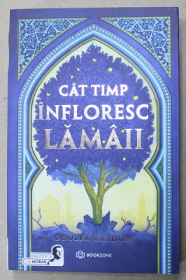 CAT TIMP INFLORESC LAMAII de ZOULFA KATOUH , 2023 foto