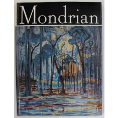 MONDRIAN , ALBUM DE ARTA de VICTOR IERONIM STOICHITA , 1979, TEXT IN LB. ROMANA