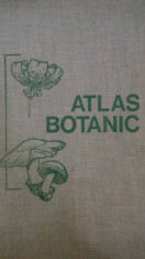 Atlas Botanic , 1973 foto