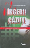 Ingerii cazuti - 2010 - Cristian Sandache (AE170), Corint