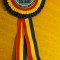 C7 1 - Cocarda tricolora - Asociatia diplomatilor militari in rezerva AI Cuza