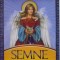 SEMNE DE SUS . MESAJE ALE INGERILOR CARE ITI POT CALAUZI ALEGERILE IN VIATA de DOREEN VIRTUE , CHARLES VIRTUE , 2010