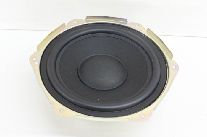 Subwoofer TESLA MODEL S 2017 OEM: 1004833-07-B,1000349-002 | 14336807