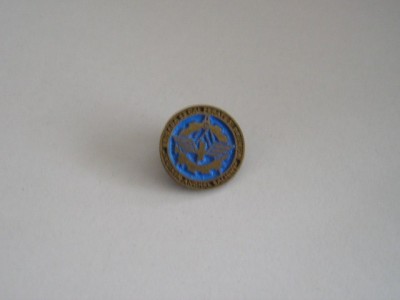 QW9 N2 39 - insigna - militar - Brigada 93 cai ferate si drumuri - ing A Saligny foto
